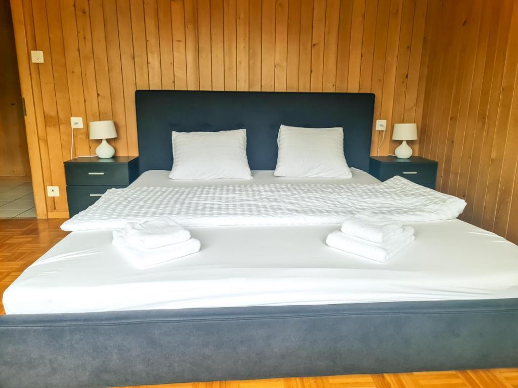 Abendberg Apartment - Aare Jungfrau Ag ويلدرسويل المظهر الخارجي الصورة