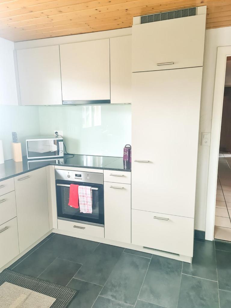 Abendberg Apartment - Aare Jungfrau Ag ويلدرسويل المظهر الخارجي الصورة