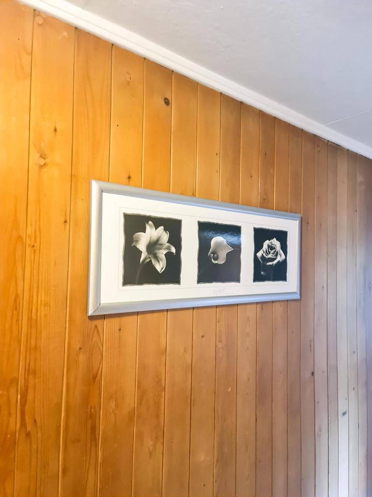 Abendberg Apartment - Aare Jungfrau Ag ويلدرسويل المظهر الخارجي الصورة